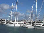 Auckland Harbour